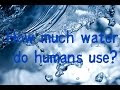 How much water do humans use?