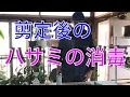 [最も人気のある！] 園芸 ハサミ 消毒 469018-園芸はさみ 消毒 お酒