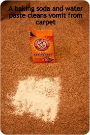 bakingsodaandcarpet
