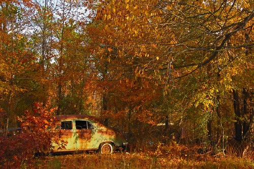Kaiser in Fall