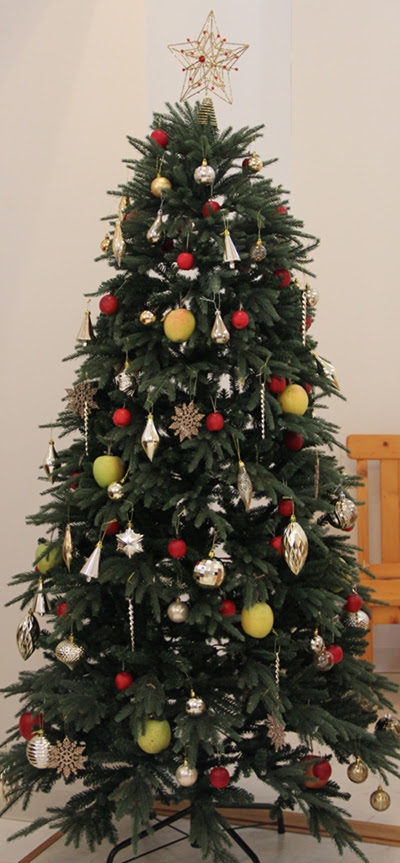 クリスマスツリーをりんごで りんご大学
