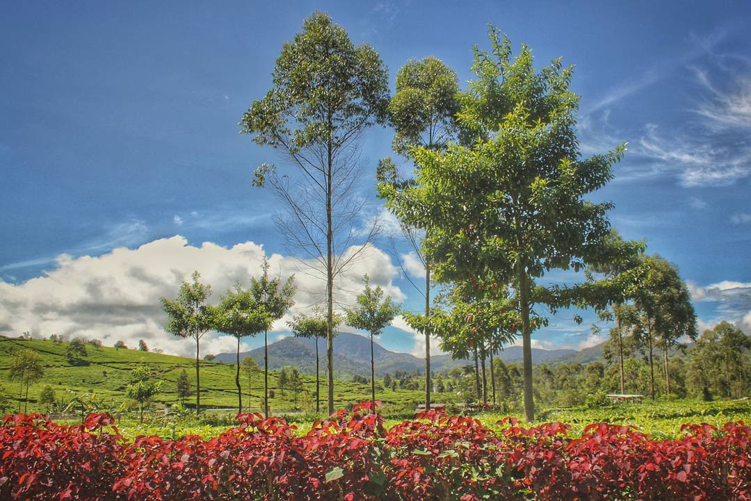  Pemandangan  indah  yang  bisa kalian dapatkan kalau liburan 