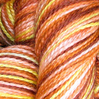 New Summer 2008 Colorway