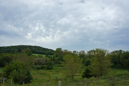 DSC02301