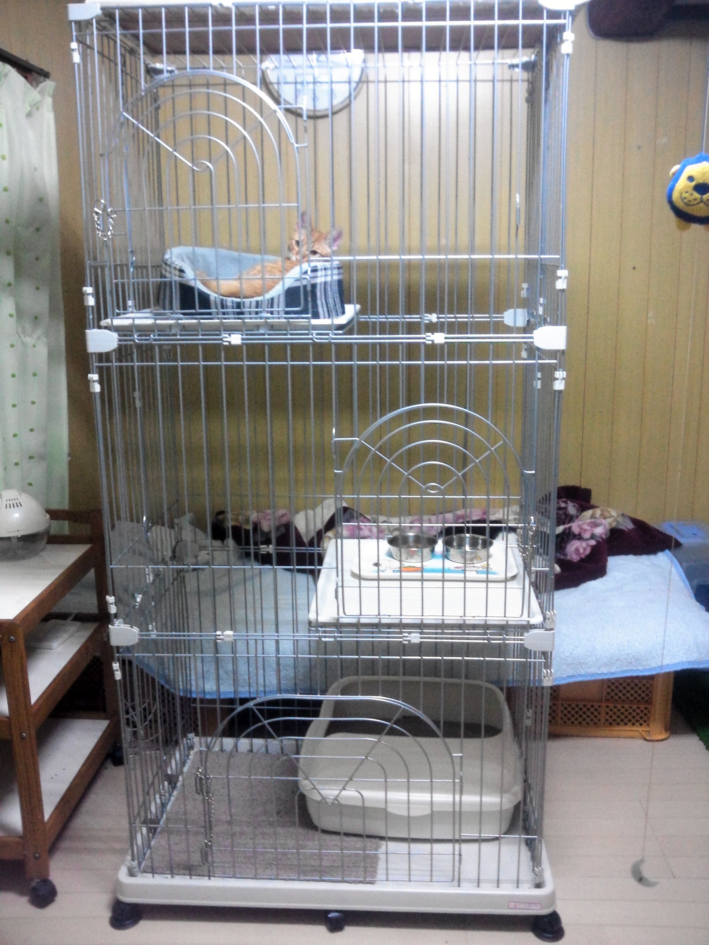 おすすめ猫ケージの紹介 猫との快適部屋作り 猫二匹との日記