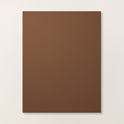 Early Espresso 8-1/2X11 Card Stock
