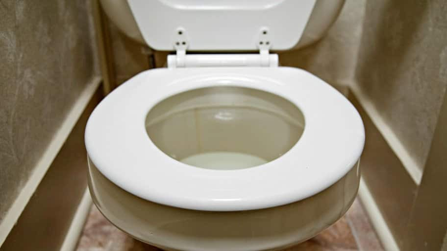Can vinegar unclog a toilet