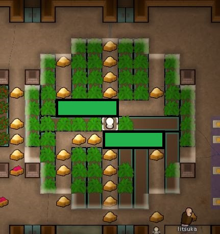 Best hydroponic setups?