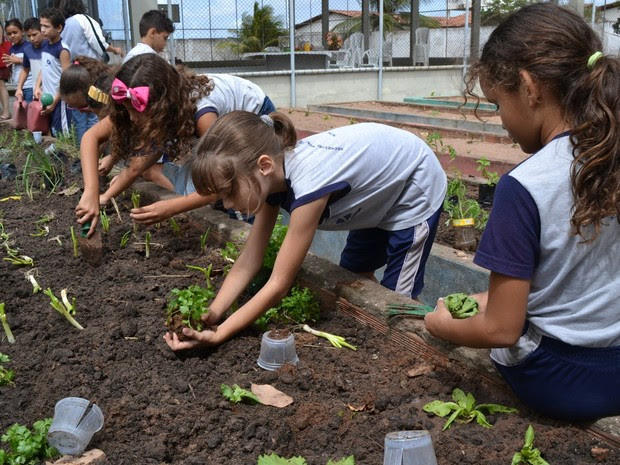 Projeto Horta nas Escolas aposta na dupla função pedagógica de estimular a preservação do meio-ambiente e de criar hábitos saudáveis de alimentação entre os alunos (Foto: Adrovando Claro)