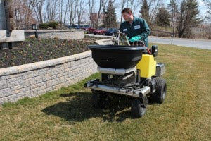 lawn fertilization