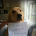 Sign In Facebook Account New / See posts, photos and more on facebook.
