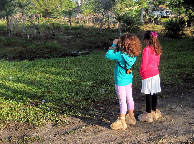 Nietas bird-watching 20130406