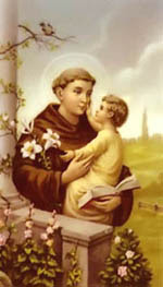 130_holycard.jpg - 25142 Bytes