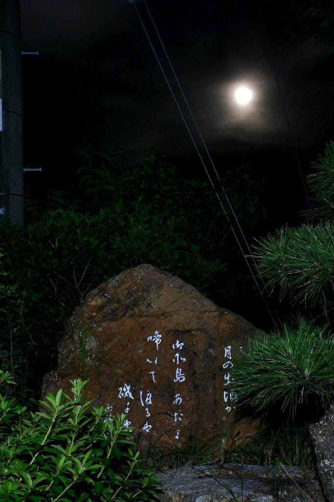 5 月の出頃か御所島あたり 啼いて渡るは磯千鳥 中津浜浦 南伊勢町
