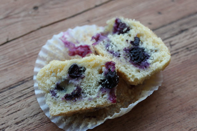 Blueberry Muffins