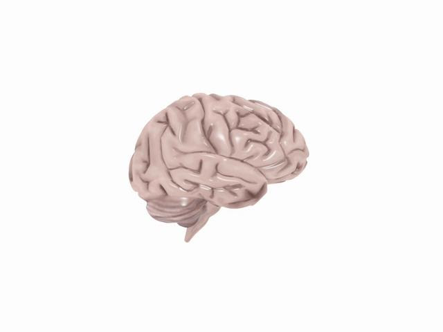 Brain Animation on Vimeo Brain Animation on Vimeo