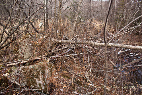 The Remains of the Dam (3 of 6).jpg