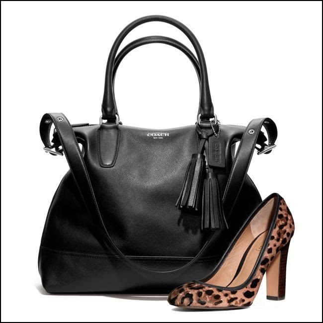 Coach Handbag and Shoe