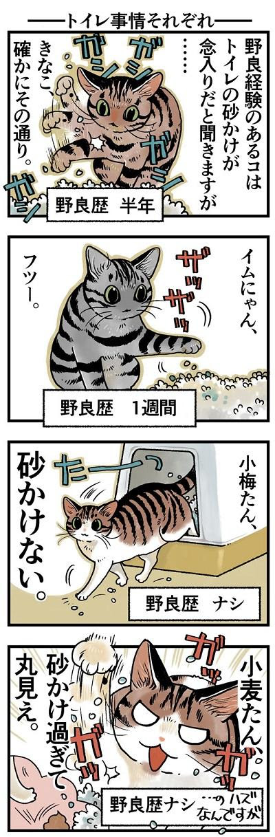 トイレ事情それぞれ フェリシモ猫部