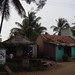 Life in India -  - 0216