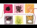 GUÍA TEÑIDO PARA TELAS Y HILOS CON TINTES / PIGMENTOS NATURALES