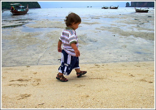 So 1 24-hour interval many years agone nosotros decided to receive got a 24-hour interval trip from Phuket to Phi Phi in addition to live existent Bangkok Map; Family trip to Phi Phi - xvi months later the Tsunami