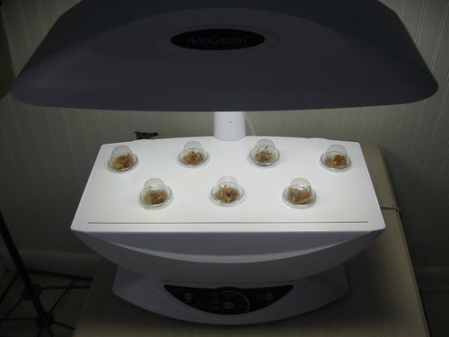 Aerogarden_1301