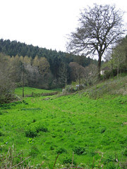 07: Berry Pomerory Castle