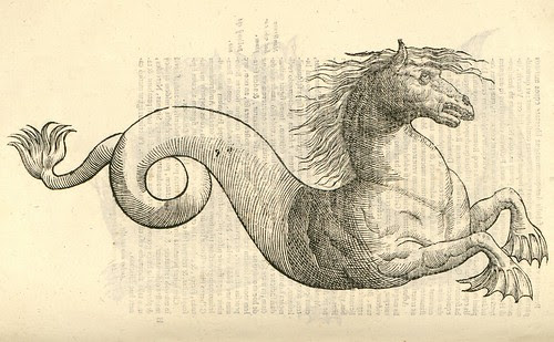 16th century woodcut of monster by Aldronvandi