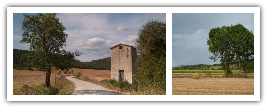 Antiguo palomar y camino hacia Villaluenga de Losa