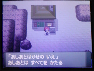 ラピスタ的ポケモン攻略
