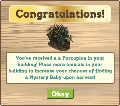 Wildlife Porcupine 