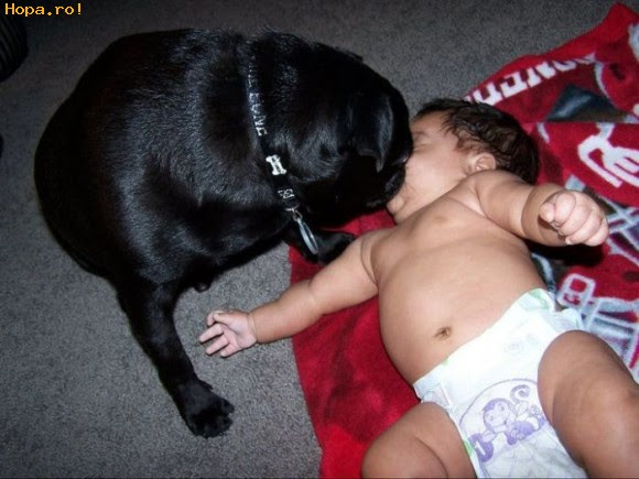 Un Pupic Intre Doi Grasi Poze Haioase Copii Hopa Ro