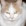 Cat K's avatar