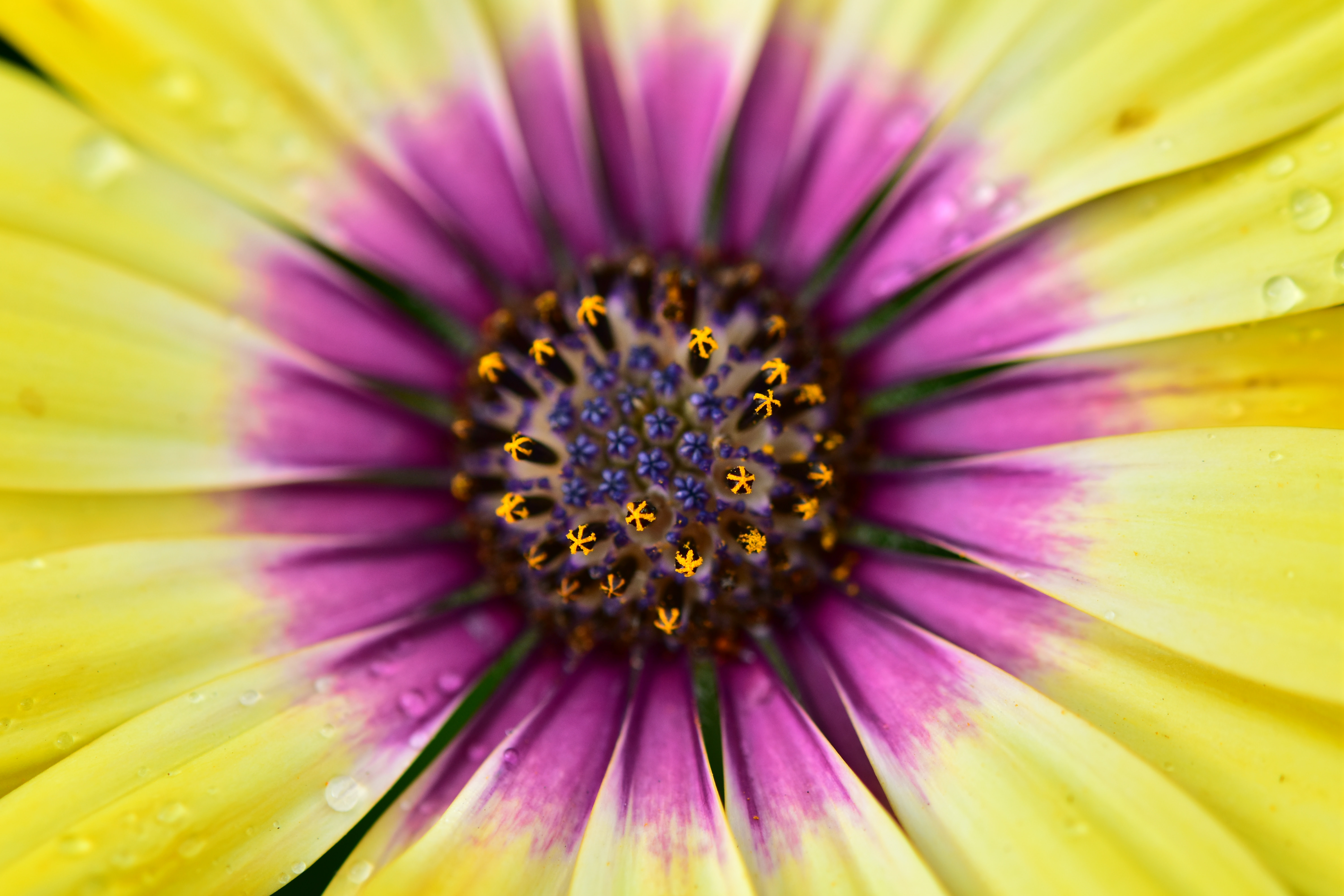 D3400 image quality