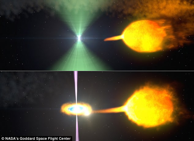 Astronomers have found a pulsar that seems to change its behaviour. In this artist's concept one model of pulsar J1023 is shown before (top) and after (bottom) its radio beacon (green) vanished. When the stream surges from its partner, an accretion disk forms and gamma-ray particle jets (magenta) obscure the beam
