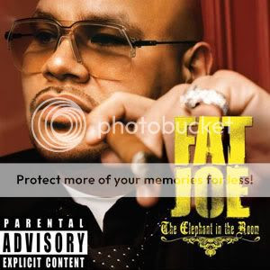 Fat Joe -  The Elephant in the Room