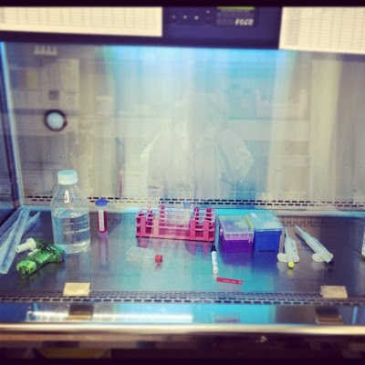 Everyday I cell culturing~  (Taken with instagram)