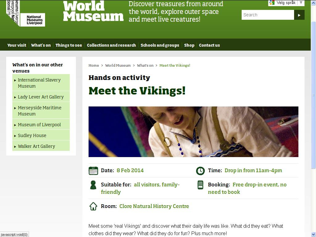 lære om vikinger