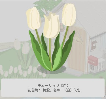 非課金deニコッとタウン チューリップ 白 の花言葉
