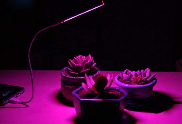  5V 2.5W 10 Red 4 Blue Portable USB LED Plant Grow Lamp for Home Office Garden Greenhouse 1