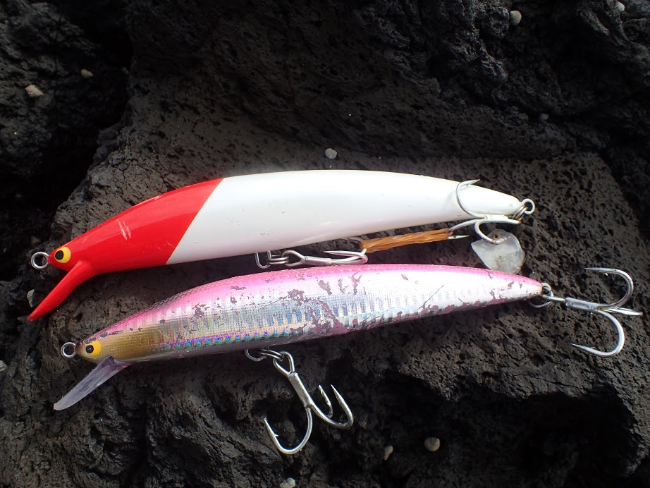 釣果報告 伊豆諸島 タマン ハマフエフキ 16 10