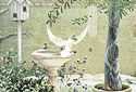 Olive Tree