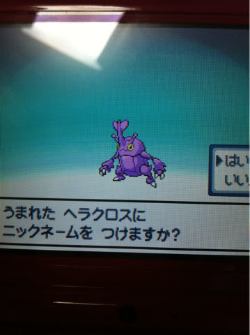 色違いいつ出るんだよ 色ヘラクロス