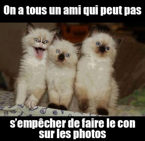 Bonjour Lol Duchesse 74