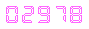 animated counters