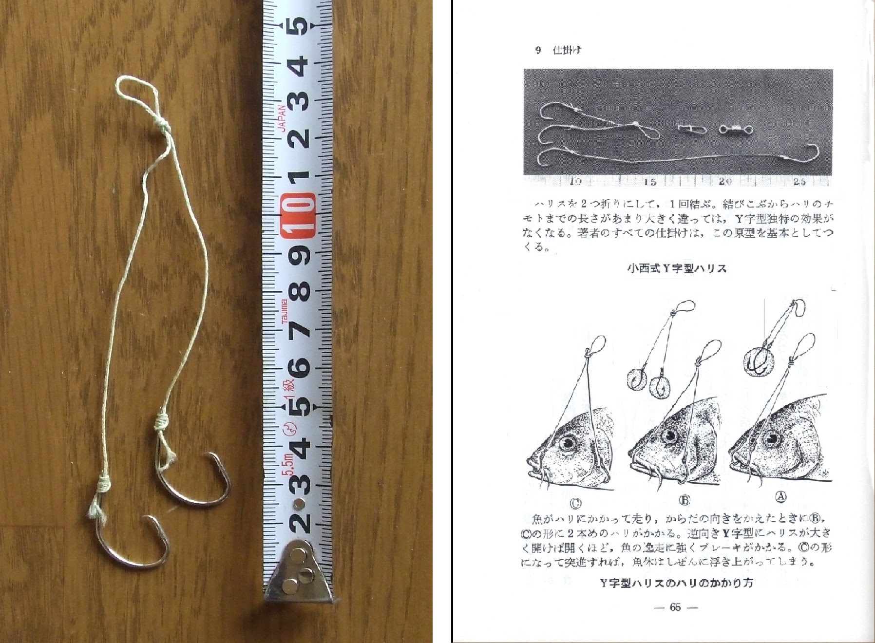 どろたにし研究所