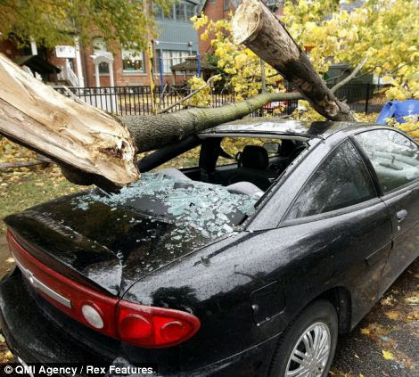 EDITORIAL USE ONLY Mandatory Credit: Photo by QMI Agency / Rex Features (1943018c) Hurricane Sandy damage Hurricane Sandy, Toronto, Canada - 30 Oct 2012 
