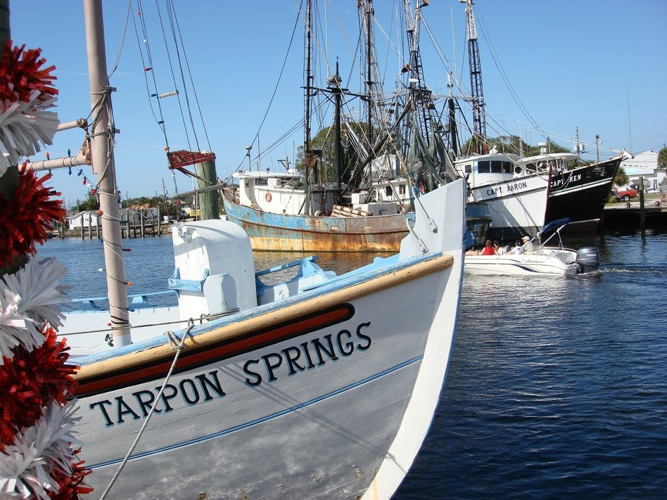 Tarpon Springs FL Tarpon