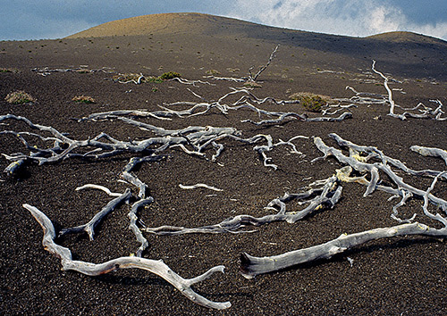 Landscapes Photography